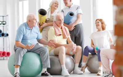 Reset : Comment les seniors révolutionnent l’ère numérique